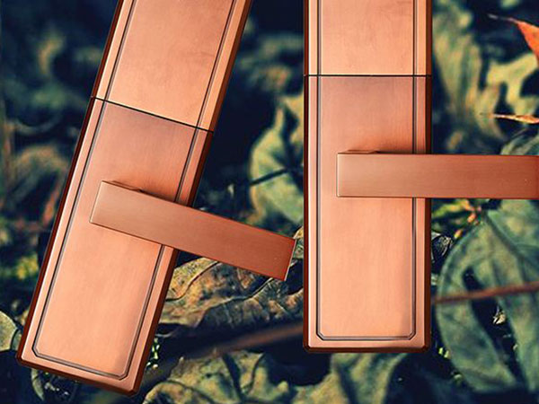 田林24小时上门开锁公司